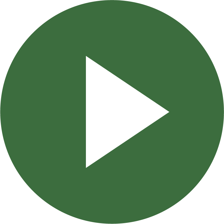 Play Icon